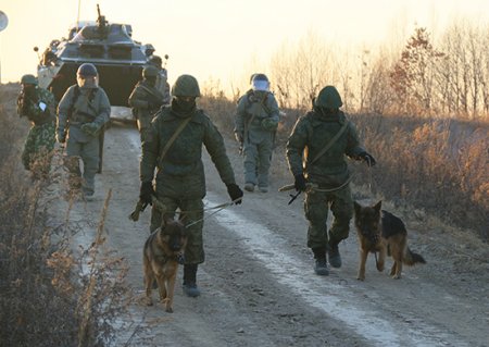 Более 4,5 тысяч взрывоопасных предметов обезвредили с начала года саперы ЗВО