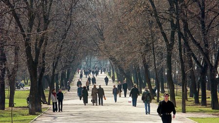 До +20 потеплеет на следующей неделе в Москве