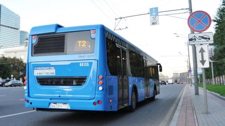 Добавочные автобусы впустят в Москве от станций метрополитен до кладбищ во вторник