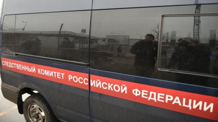 СК устанавливает обстоятельства смерти бабы в парке «Лосиный остров» в Москве