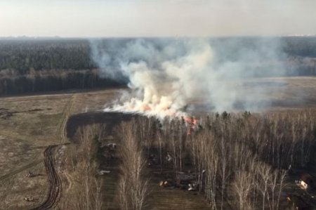 В Балашихе пламенеет поле, какое подпалили неизвестные