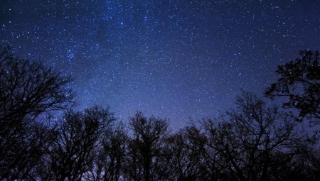 В ночь на воскресенье в Подмосковье можно будет наблюдать звездопад