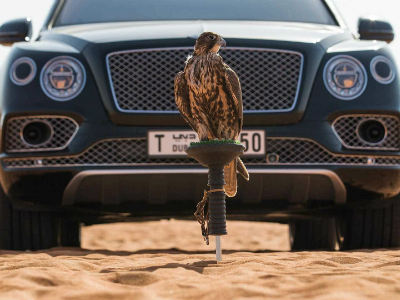 Bentley приспособил модель Bentayga для соколиной охоты