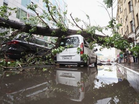 МЧС пытается оправдаться за отсутствие оповещения об урагане в Москве