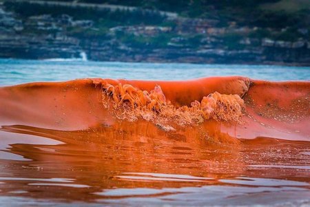 Мраморное море перекрасилось в оранжевый цвет из-за планктона