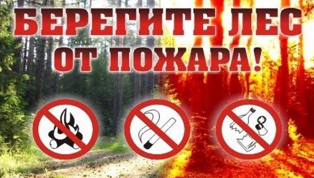 С 1 мая в Подмосковье вводится особый противопожарный режим