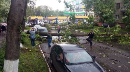 СМИ опубликовали список конченых из-за большого урагана в Москве