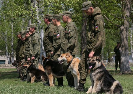 Стартовал 1 этап всеармейского кинологического конкурса «Верный друг».