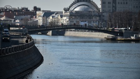 Температура воды в Москве-реке сейчас комфортна всего для моржей