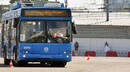 Упавшее дерево застопорило движение троллейбусов на северо-востоке Москвы