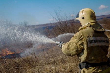 В двух районах Подмосковья возникли лесные пожары