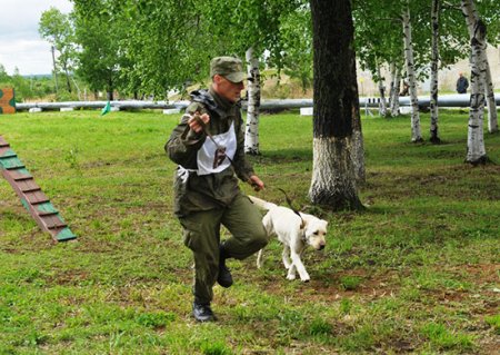 В Восточном военном округе завершились отборочные соревнования кинологического конкурса «Верный друг»