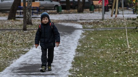 «Желтый» степень опасности обнародовали в московском регионе на 13 мая из-за заморозков