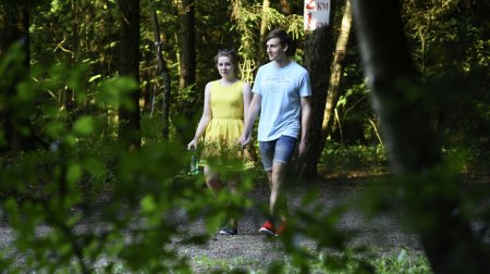 Парк «Ивановские пруды» в Красногорске благоустроят к октябрю 2017 года