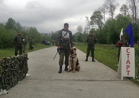 Победу в конкурсе «Верный друг» в ЮВО второй год подряд одержали кинологи из Ставрополя