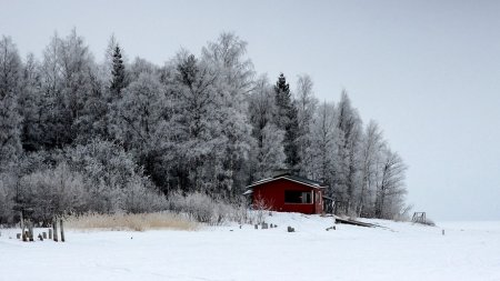 Россияне стали чаще ездить за границу в I квартале 2017 года