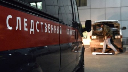 СК запросил у подмосковной полиции уголовное дело о ДТП с «пьяным» ребенком