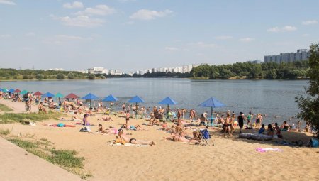 В Подмосковье оборудованных пляжей станет больше