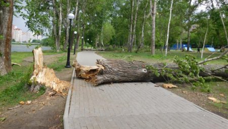 В Подмосковье скончался ребенок, пострадавший от урагана 29 мая