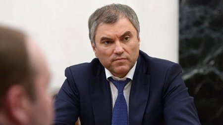 Володин предложил провести слушания по программе реновации в Мосгордуме