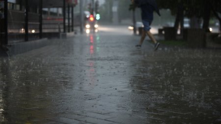 Два мероприятия в парках Москвы передвинули из-за ливня