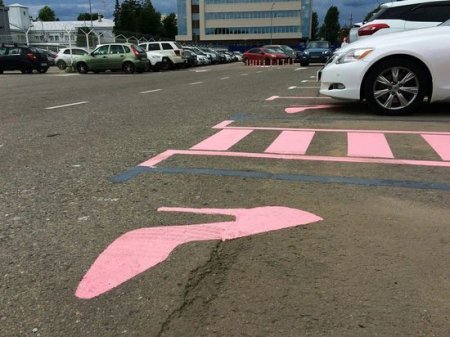 Пассажиры-водители раскритиковали женскую парковку в аэропорту