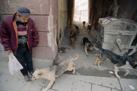 В какие страны не стоит ехать этим летом (по мнению местных жителей)