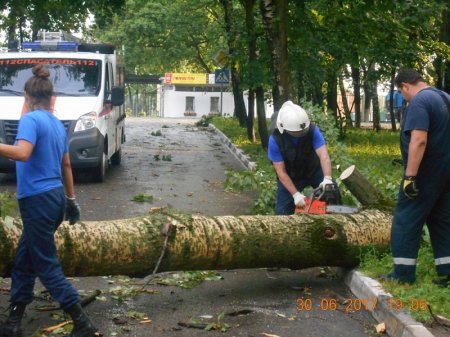 В Подмосковье ликвидируют последствия прохождения грозового фронта