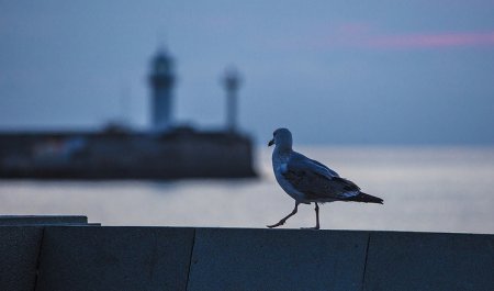 Число гостиниц и здравниц в Крыму выросло на четверть в 2017 году