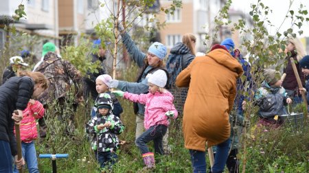 Свыше 700 деревьев высадили в Красноармейске на акции «Наш лес. Посади свое дерево»