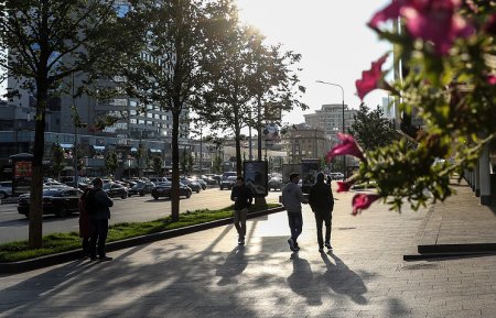 В Московском регионе будет без осадков и до 17 градусов тепла