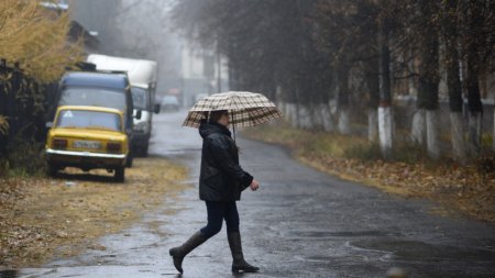 МЧС предупреждает о ливнях и сильном ветре в Подмосковье 14 октября