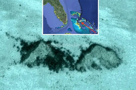 На дне океана возле острова Нью-Провиденс обнаружены две пирамиды