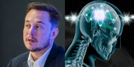 Neuralink Илона Маска строит лабораторию для испытаний на животных