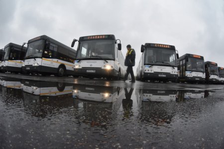 Свыше 620 тыс. жителей Подмосковья воспользовались автобусами «Мострансавто» в дни православных праздников