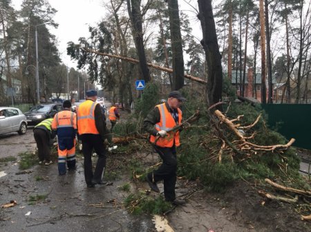 В Подмосковье ликвидируют последствия ураганного ветра