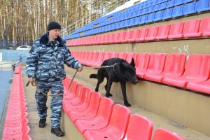 Накануне майских праздников оперативные службы и предприятия жизнеобеспечения Московской области приведены в режим повышенной готовности