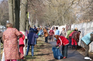 Стартовал общеобластной субботник