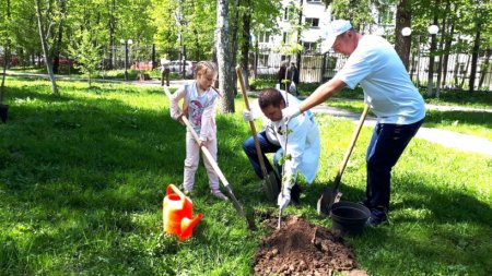 Коллектив Госжилинспекции Подмосковья принял участие в акции «Лес Победы» в полном составе