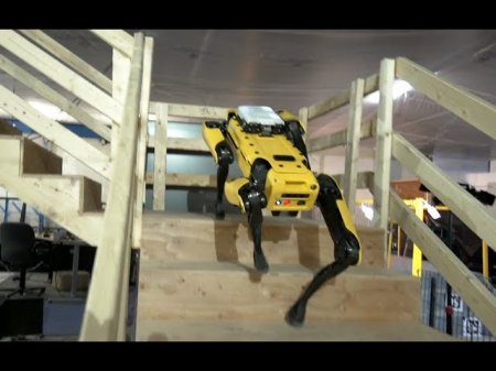 Знаменитый робот SpotMini от Boston Dynamics поступает в открытую продажу