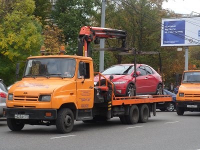 Автомобили с животными и людьми оградят от эвакуации