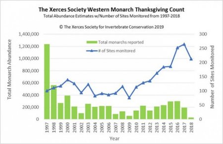 Бабочки монархи находятся на грани полного вымирания