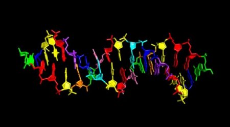 Причудливая ДНК из восьми букв может принадлежать инопланетянам