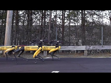 Упряжка из десяти робо-псов SpotMini от Boston Dynamics протащила целый грузовик