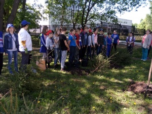 Акция "Лес Победы" в п. Успенский