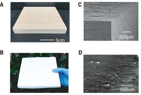 Новая супердревесина прочнее алюминия и титана