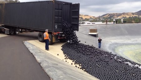 #видео | Зачем в водохранилище Лос-Анджелеса высыпали 96 миллионов черных шаров?