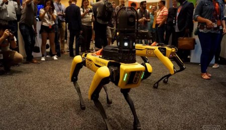 Механические собаки Boston Dynamics станут участниками боев на роботах