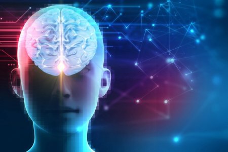 Медики поняли, как мозг запоминает решения и накапливает опыт