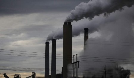 Как загрязненный воздух влияет на мозг